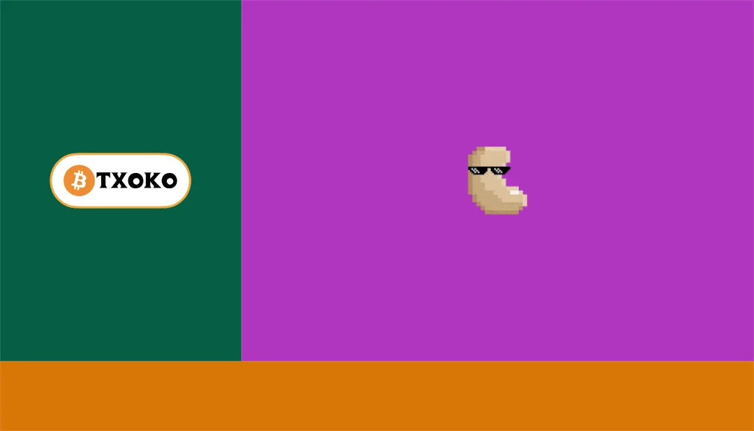 Cover image for Cómo decodificar un token de cashu